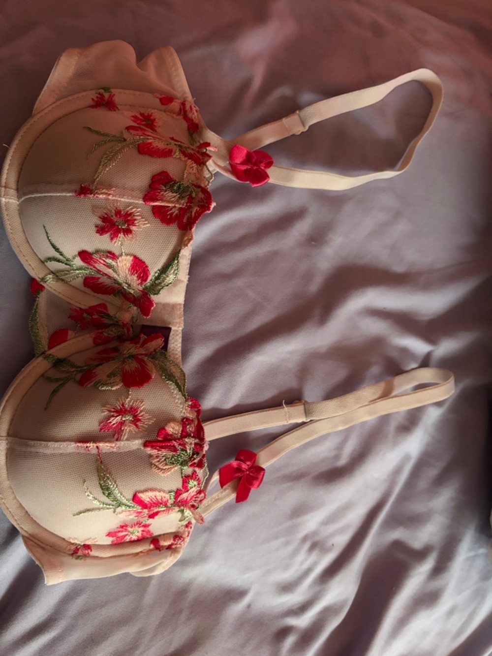 Adore Me Cream Bra with Pink Floral Embroidery